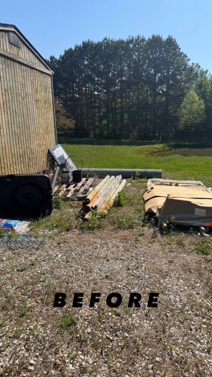 Yard debris and cardboard piled by a shed before cleanup